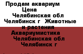 Продам аквариум 4100 › Цена ­ 4 100 - Челябинская обл., Челябинск г. Животные и растения » Аквариумистика   . Челябинская обл.,Челябинск г.